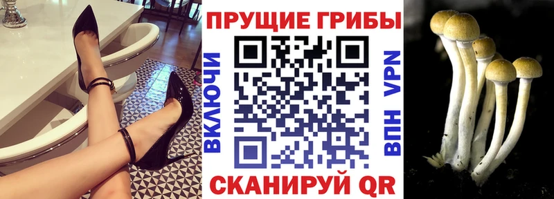 Псилоцибиновые грибы мухоморы  мориарти формула  Гаврилов-Ям 